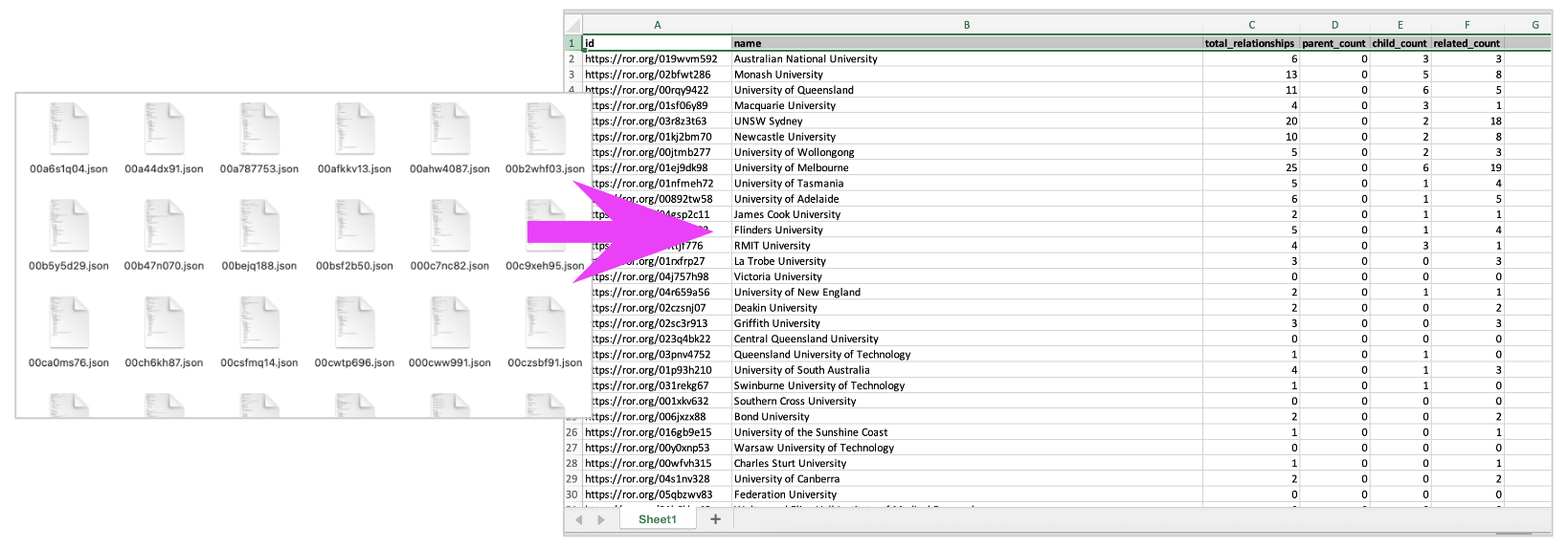 Screenshot of files converted to report